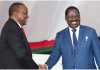 Uhuru to Use His Old Networks to Campaign for Raila in His AUC Bid Former president Uhuru Kenyatta and Raila Odinga.