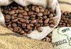 Kenya Set for Major Coffee Industry Shakeup as Farmers Gain Export Control