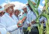 CS Mwihia Karanja Urges Collaboration to Boost Agricultural Sector