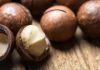 Why Government has Banned Macadamia Harvesting From November Macadamia