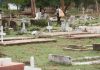 Boiled Human Bones Dumped Near Lang’ata Cemetery