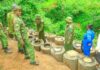 Crackdown in Kisii: 12,000+ Litres of Illicit Brew Seized in Multi-Agency Raid