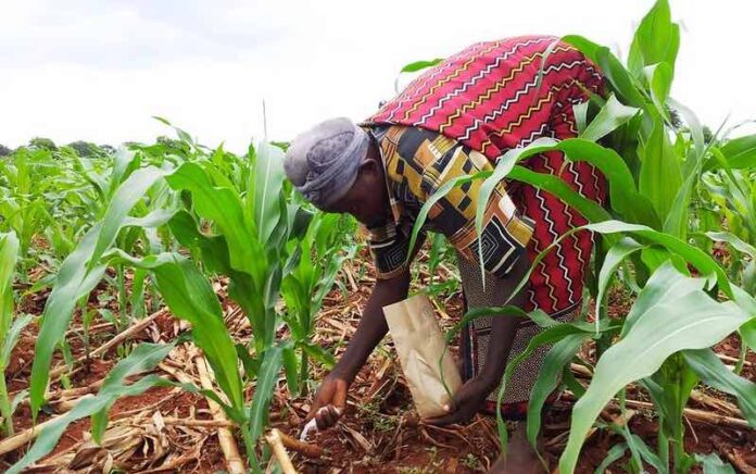 kenya_fertilizer