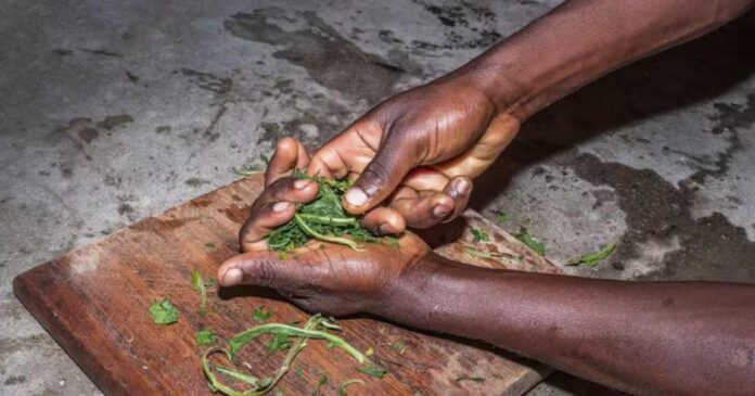 Herbalist