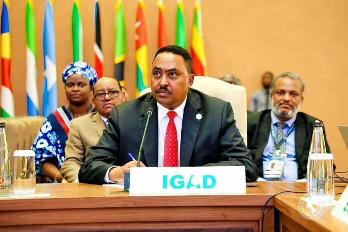 IGAD 2024 Report: Small Gains, Real Impact in a Region Under Pressure