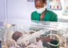 Severe Nurse Shortages Threaten Kenya’s Newborn Care Despite New Medical Technology, Study Warns Severe Nurse Shortages Threaten Kenya’s Newborn Care Despite New Medical Technology, Study Warns