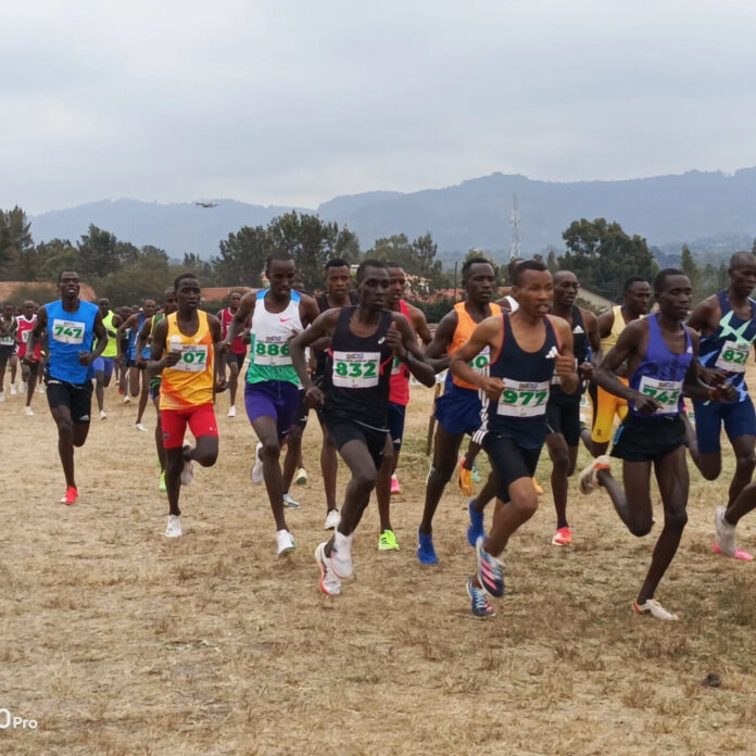 image Betika cross country