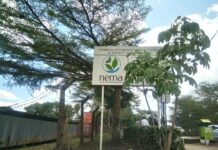 NEMA Invites Public Views on Proposed Factories in Kitui and Nyeri NEMA