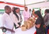 Youth to Benefit from Ksh 3 Billion World Bank-Funded NYOTA Project