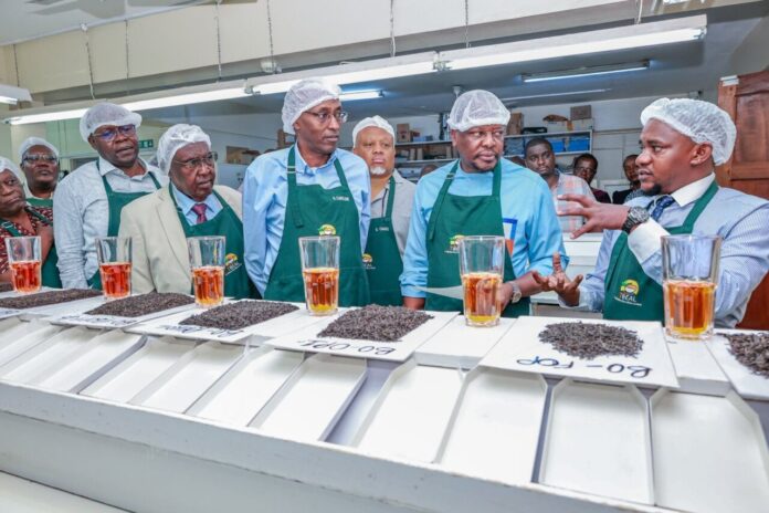 WhatsApp Image 2025-09-30 at 14.55.26_2baf5c55 KTDA Moves to Calm Farmers After Outcry Over Reduced Tea Bonuses