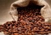 Authorities Crack Down on Coffee Theft in Nandi County