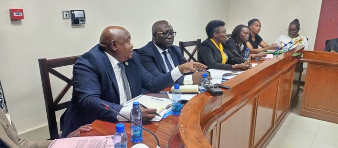 County Executive Committee Member for Built Environment and Urban Planning Patrick Mbogo (left) address the Committee.