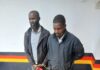 Two Arrested in Nyahururu as Tusks Worth Ksh 3.6M Seized