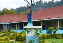 Nyeri’s Consolata Hospital Set to Receive KSh400 Million Windfall from Social Health Authority