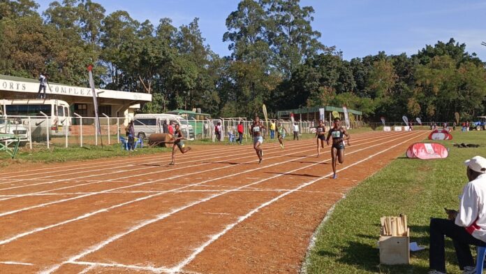 Track and Field circuit