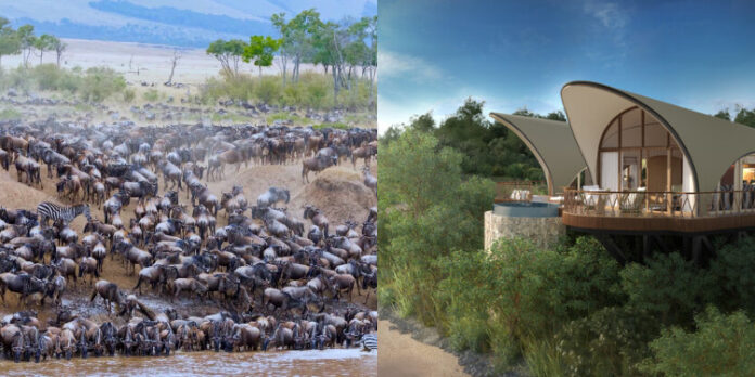 Ritz-Carlton Safari Camp
