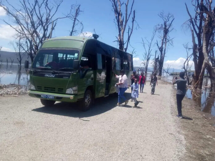 KWS Launches Holiday Bus Shuttles to Help People Visiting Parks during Festivals