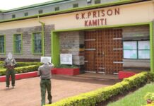 Three Kamiti Prison Officers Guilty of Aiding Escape of Terror Convicts, Court Rules