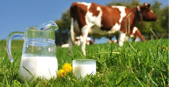 Milk1