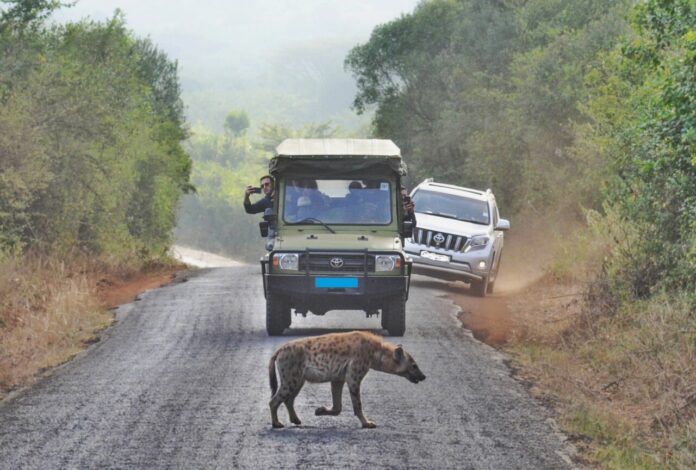Tourists at National park2