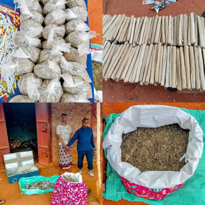 Two Arrested as Police Seize Suspected Cannabis in Kilifi Operation