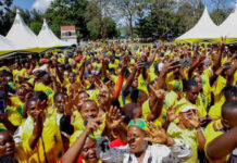 Mt Kenya Takes Centre Stage as UDA Grassroots Polls Attract Record Interest