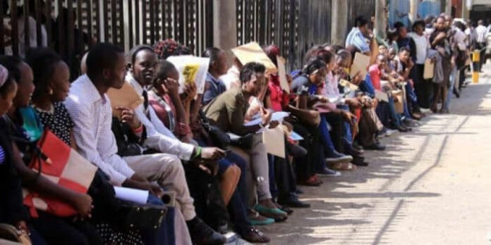 Government Announces New Job Opportunities