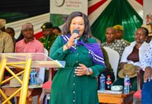 Chale Community Boardwalk – Enhancing Eco-Tourism in Kwale County