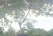 DCI Arrests Woman Over Viral Video Amid Crackdown on Incitement