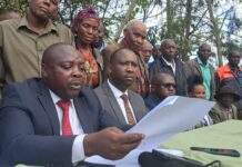 Kakuzi PLC Suffers Major Defeat in Landmark Land Justice Ruling