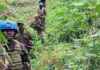 Kenyan Peacekeepers Reclaim Rebel Zones as Civilian Trust Rebuilds