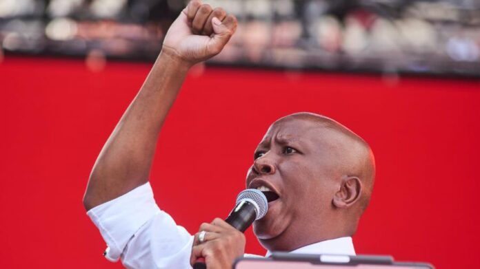 Malema