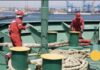 Seafarers Union Pushes for Full Operationalization of Wages