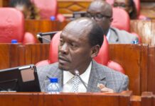 Govt Pushes Digital Hubs Plan, Says Over 300 Centres Already Up Govt Pushes Digital Hubs Plan, Says Over 300 Centres Already Up