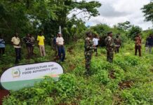 AFA Joins Residents in Marsabit Tree Planting to Support 15 Billion Trees Plan AFA Joins Residents in Marsabit Tree Planting to Support 15 Billion Trees Plan