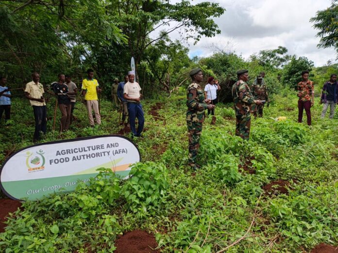 WhatsApp Image 2026-04-10 at 1.04.18 PM AFA Joins Residents in Marsabit Tree Planting to Support 15 Billion Trees Plan