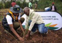 Tree Planting Drive Launched in Laikipia, Baringo to Support Farming and Food Security tree planting drive