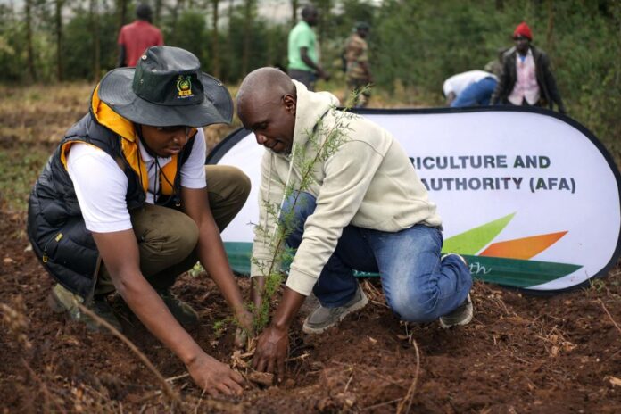 WhatsApp Image 2026-04-18 at 2.41.39 PM tree planting drive