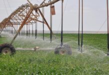 Galana Kulalu Project Creates Over 5,000 Jobs as Gov’t Revives Food Security Plan