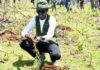 Hillary Kiplagat Breaks Tree Planting Record, Boosting Kenya’s Climate Action Efforts