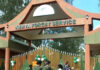 KFS dismisses claims of forest grabbing, says all gazetted forests remain protected KFS dismisses claims of forest grabbing, says all gazetted forests remain protected