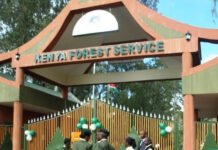 KFS dismisses claims of forest grabbing, says all gazetted forests remain protected KFS dismisses claims of forest grabbing, says all gazetted forests remain protected