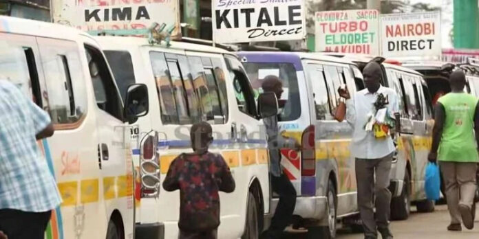 image Matatus