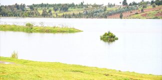 Gwa Kiongo Irrigation Project Set to Boost Food Production in Nyandarua
