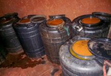 Police Seize Over 6,000 Litres of Illicit Brew in Nyamira Crackdown