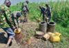 Police Destroy Over 1,000 Litres of Illicit Brew in Muhoroni Raid