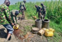 Police Destroy Over 1,000 Litres of Illicit Brew in Muhoroni Raid