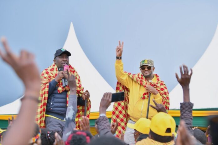 Porro Ward Campaigns UDA