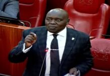 Cherargei Targets Uhuru’s Benefits in Fresh Senate Showdown