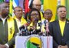 Mbarire: 10 Aspirants in UDA Battle for Ol Kalou MP Ticket